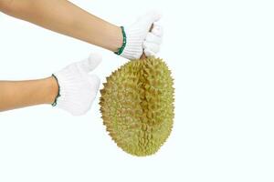 hand holding durian fruit on white background. Durian is known as the king of fruits with a unique aroma. The skin is hard with thorns, the flesh is yellow and has a sweet, oily. photo