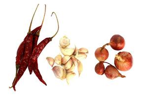 isolated dried chilli, garlic, shallot on a white background All are condiments in Thai food that give it a spicy flavor and gives medicinal properties. Soft and selective focus. photo