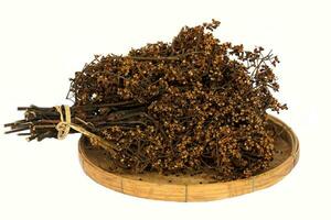 seco semillas de zanthoxylum son herbario plantas usado para Cocinando con un fuerte aroma. el caliente y picante sabor ayuda eliminar el sospechoso oler. y mejorar el gusto de alimento. foto