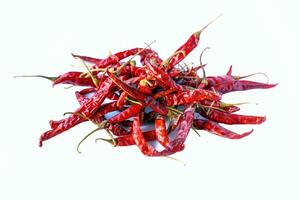 Dried chilies on a white background are herbal plants, a flavoring in processed foods derived from fresh chilies. Spicy taste Popularly used as an ingredient in curry paste or dried into chili powder photo