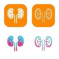 Kidney Vector Icon