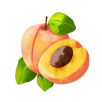 fresco pêssego frutas png