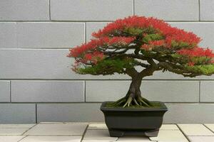 hermosa bonsai en minimalista maceta. antecedentes. ai generativo Pro foto
