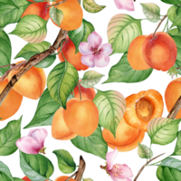 Watercolor seamless pattern of branch with apricot, green leaves. Painting fruit tree, fruitage hand drawn. Design element for card, package, poster, label jam, cosmetic, juice, oil. png
