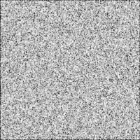 un negro y blanco imagen de un cuadrado blanco ruido textura vector