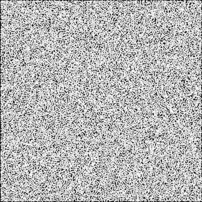 a black and white image of a square white noise texture