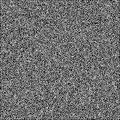 a black and white image of a square white noise texture