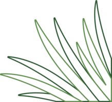 Hand Drawn Outline Plant Corner Border Transparent PNG