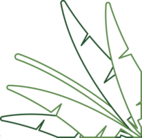 Hand Drawn Outline Plant Corner Border Transparent PNG