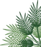 Hand Drawn Outline Plant Corner Border Transparent PNG