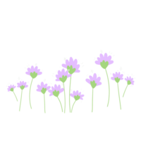 violet fleurs arbustes dans jardin décorations png