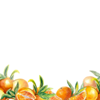 een plein kader van helder oranje fruit Bij de onderkant. waterverf illustratie. ontwerp element voor menu, sap etiketten, voedsel verpakking, dekt, groet kaarten, uitnodigingen. png