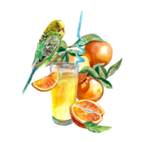 A glass of orange juice with a sitting parrot, oranges, orange slices. Watercolor illustration isolated. Design element for cafe menu, juice labels, food packaging, covers. png