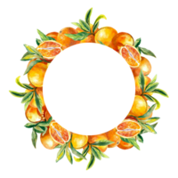 Round frame of bright orange fruits. Watercolor illustration of botanical wreath. Design element for juice labels, food packaging, covers, greeting cards. png