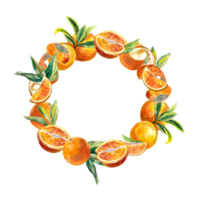 Round frame made of oranges fruit. Watercolor illustration of botanical wreath. Design element for menus, juice labels, food packaging, covers, greeting cards. png