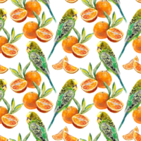 Seamless pattern of bright oranges and parrots. Watercolor illustration. Design element for cafe menu, juice labels, food packaging, covers, greeting cards, textiles. png