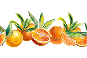 Seamless orange fruit border. Watercolor illustration. Design element for greeting cards, juice labels, food packaging, covers, invitations. png