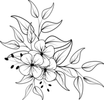 Floral bouquet in line art illustration.Flower outline hand drawn clipart png