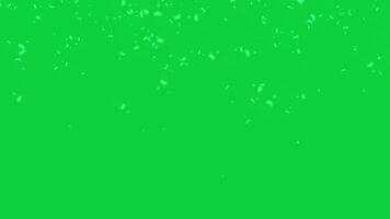 Blurry Dandelion particle falling animation overlay effect isolated on green screen background video