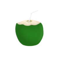 coconut with straw png