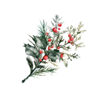 Watercolor Christmas Bouquet png