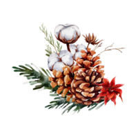 bouquet de noël aquarelle png