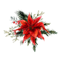 bouquet de noël aquarelle png