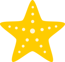 icono de estrella de mar png