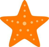 starfish sea icon png