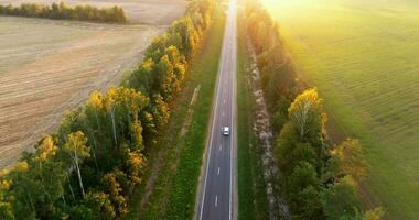 blanc monospace voiture disques sur une asphalte route parmi le des champs, forêt à le coucher du soleil video