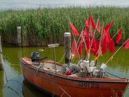 ahrenshoop at the baltic sea photo