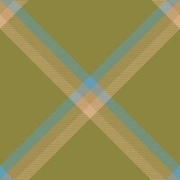 Plaid pattern vector. Check fabric texture. Seamless textile design for clothes, paper print. vector