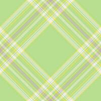 Plaid pattern vector. Check fabric texture. Seamless textile design for clothes, paper print. vector