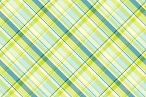 Check texture fabric of pattern vector plaid with a seamless background tartan textile.