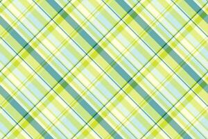 Check texture fabric of pattern vector plaid with a seamless background tartan textile.