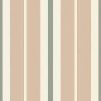 Vertical lines stripe pattern. Vector stripes background fabric texture. Geometric striped line seamless abstract design.