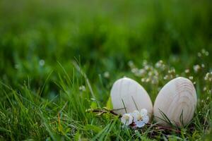 dos blanco Pascua de Resurrección huevos con un rama de albaricoque en verde césped. Pascua de Resurrección antecedentes. buscar para huevos a Pascua de Resurrección. foto