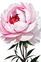 Beautiful peony flowers in translucent background. ai generative png