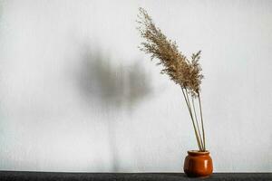 Pampas grass branches in vase on pastel neutral beige background with sun light and trendy shadow. Reeds foliage. Modern interior design concept photo