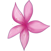 illustration de rose Sakura fleur png