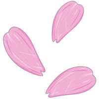 illustration of pink sakura flower png