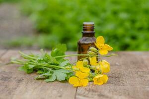 pharmaceutical bottle of medicine from Yellow flowers of Chelidonium majus, celandine, nipplewort, swallowwort or tetterwort on a wooden table. Growing on street blooming in spring celandine. photo