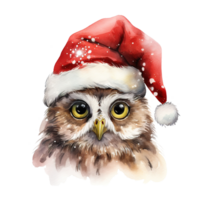 Owl Wearing Santa Hat For Christmas Event. Watercolor Style. AI Generated png