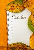 calendario para octubre enmarcado por amarillo otoño follaje con el nombres de el dias de el semana. textil amarillo antecedentes foto