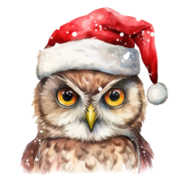 hibou portant Père Noël chapeau pour Noël événement. aquarelle style. ai généré png