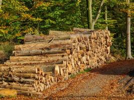 the teutoburg forest in germany photo