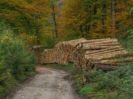 the teutoburg forest in germany photo