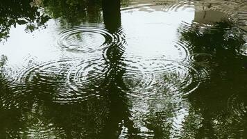 Regen Tropfen auf Wasser Oberfläche video