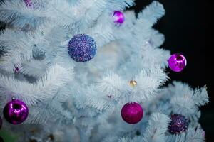 White artificial spruce with violet Christmas balls. photo