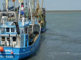 husum at the north sea in germany photo